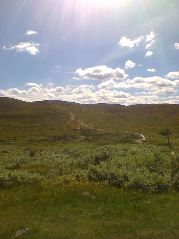 Kyroen Loma *
