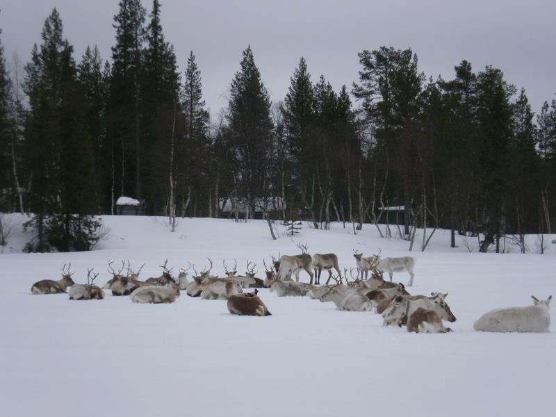 Kyroen Loma Campingplatz
