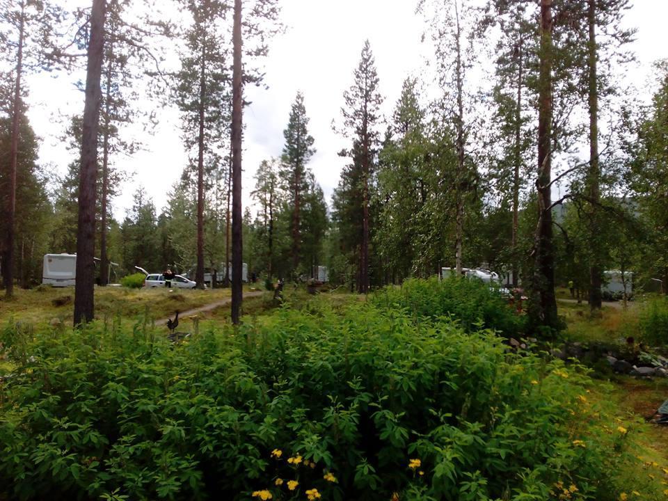 Kyroen Loma