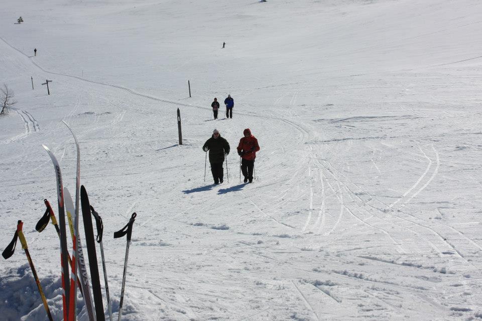 Kyroen Loma *